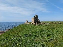 Newark Castle (Fife)